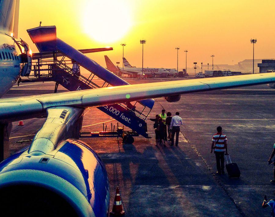 Exotic Pet Ownership Checklist