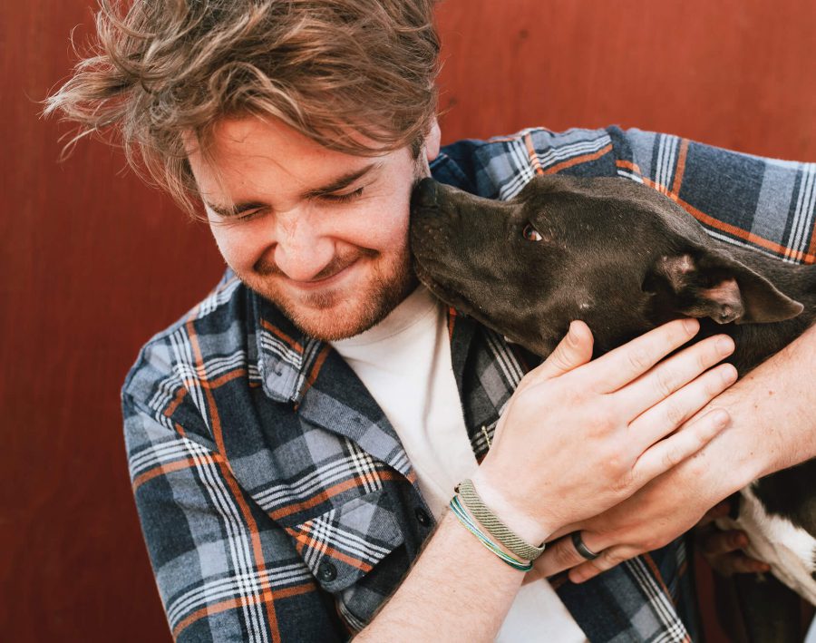 Choosing the Best Pet Boarding Facility